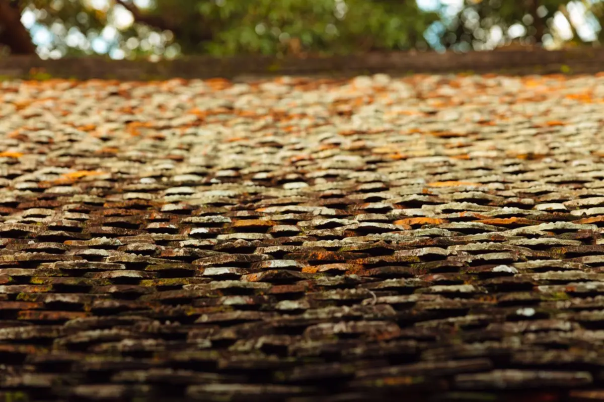 Roof Leak Repair in Amarillo, TX
